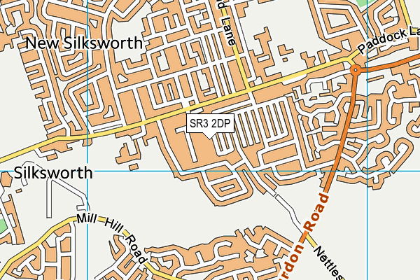 SR3 2DP map - OS VectorMap District (Ordnance Survey)