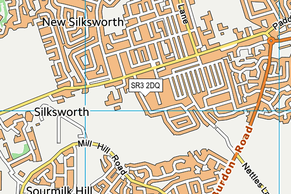 SR3 2DQ map - OS VectorMap District (Ordnance Survey)