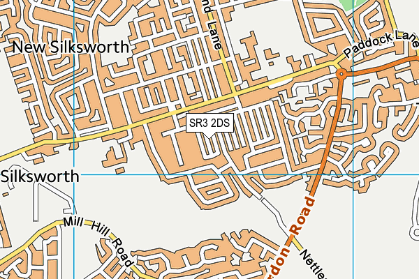 SR3 2DS map - OS VectorMap District (Ordnance Survey)