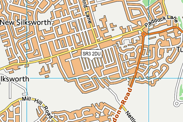 SR3 2DU map - OS VectorMap District (Ordnance Survey)