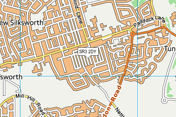 SR3 2DY map - OS VectorMap District (Ordnance Survey)