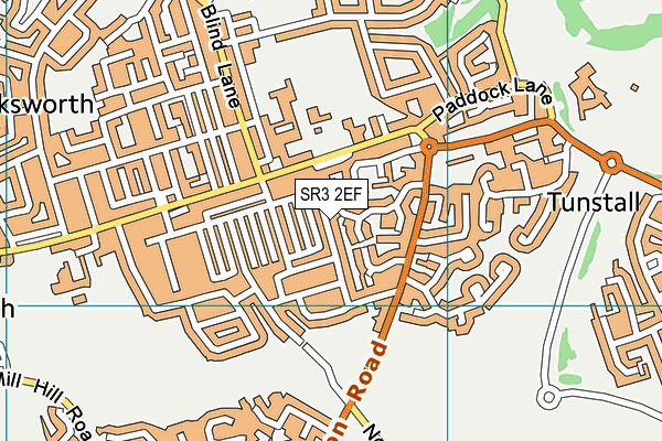 SR3 2EF map - OS VectorMap District (Ordnance Survey)