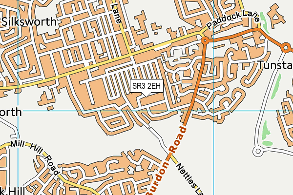 SR3 2EH map - OS VectorMap District (Ordnance Survey)