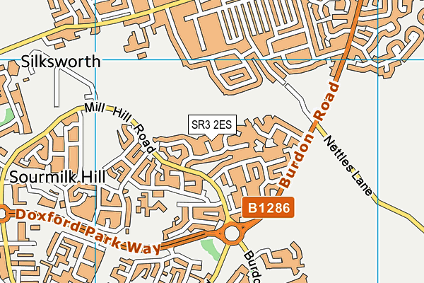 SR3 2ES map - OS VectorMap District (Ordnance Survey)