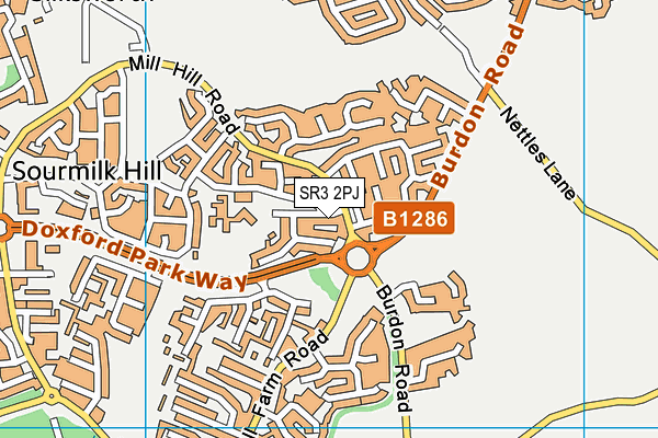 Mill Hill Nursery School map (SR3 2PJ) - OS VectorMap District (Ordnance Survey)