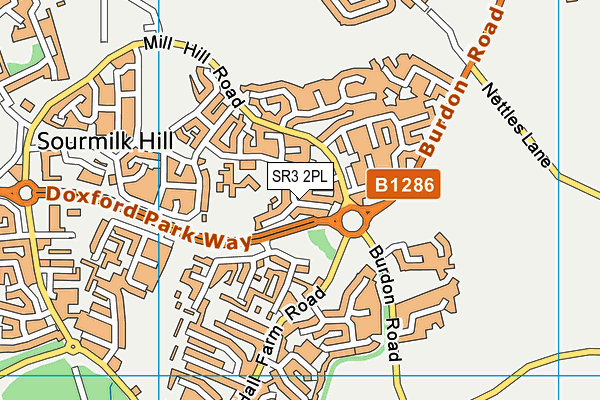 SR3 2PL map - OS VectorMap District (Ordnance Survey)