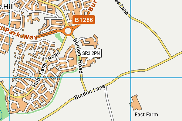 SR3 2PN map - OS VectorMap District (Ordnance Survey)