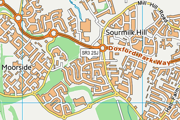 SR3 2SJ map - OS VectorMap District (Ordnance Survey)