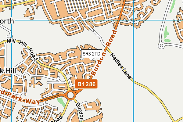 SR3 2TD map - OS VectorMap District (Ordnance Survey)