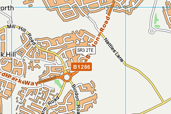 SR3 2TE map - OS VectorMap District (Ordnance Survey)