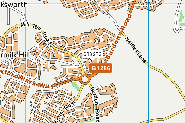 SR3 2TG map - OS VectorMap District (Ordnance Survey)