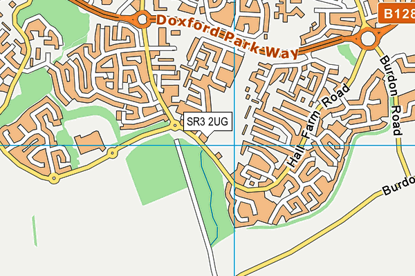 SR3 2UG map - OS VectorMap District (Ordnance Survey)