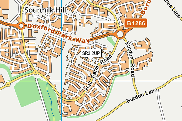 SR3 2UP map - OS VectorMap District (Ordnance Survey)