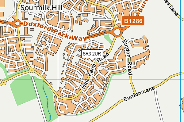 SR3 2UR map - OS VectorMap District (Ordnance Survey)