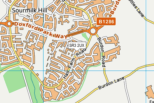 SR3 2UX map - OS VectorMap District (Ordnance Survey)