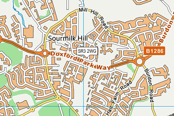 SR3 2WG map - OS VectorMap District (Ordnance Survey)