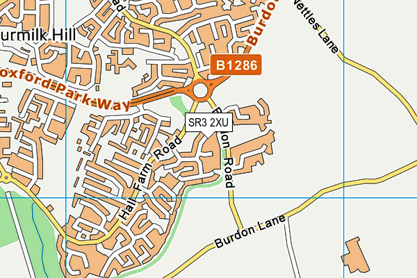 SR3 2XU map - OS VectorMap District (Ordnance Survey)