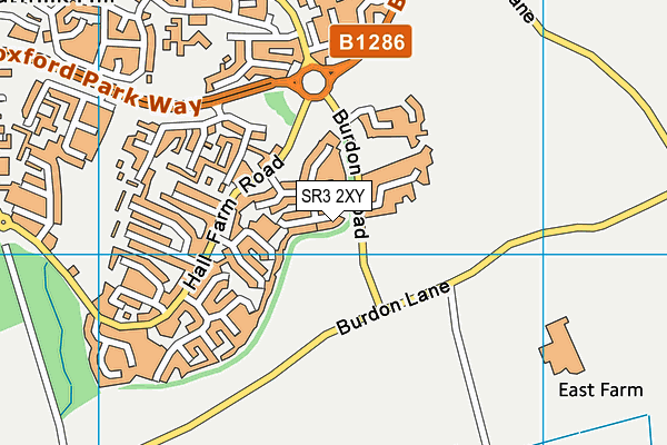 SR3 2XY map - OS VectorMap District (Ordnance Survey)