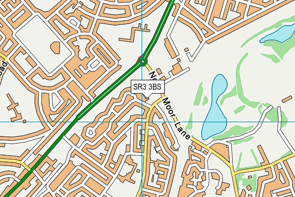 SR3 3BS map - OS VectorMap District (Ordnance Survey)