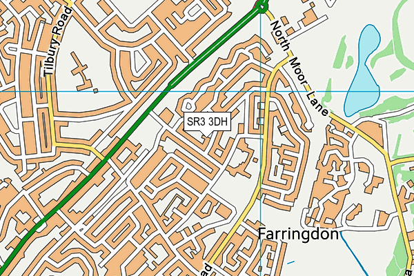 SR3 3DH map - OS VectorMap District (Ordnance Survey)