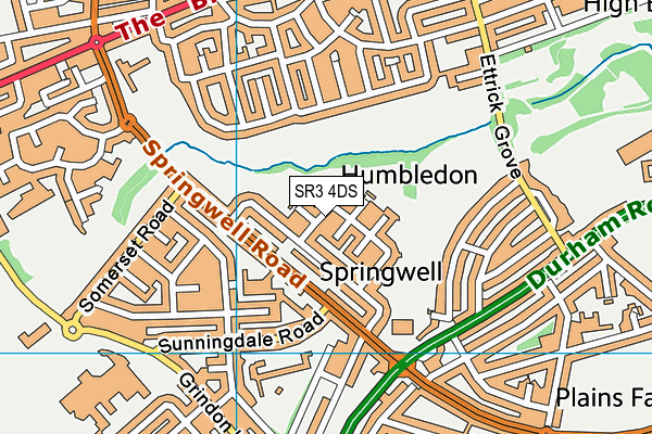 SR3 4DS map - OS VectorMap District (Ordnance Survey)