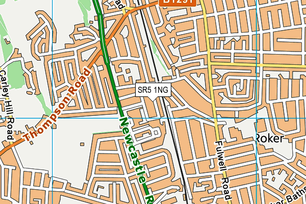 SR5 1NG map - OS VectorMap District (Ordnance Survey)