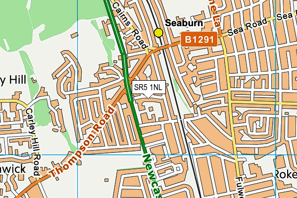 SR5 1NL map - OS VectorMap District (Ordnance Survey)