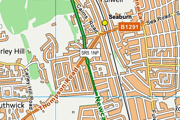 SR5 1NP map - OS VectorMap District (Ordnance Survey)