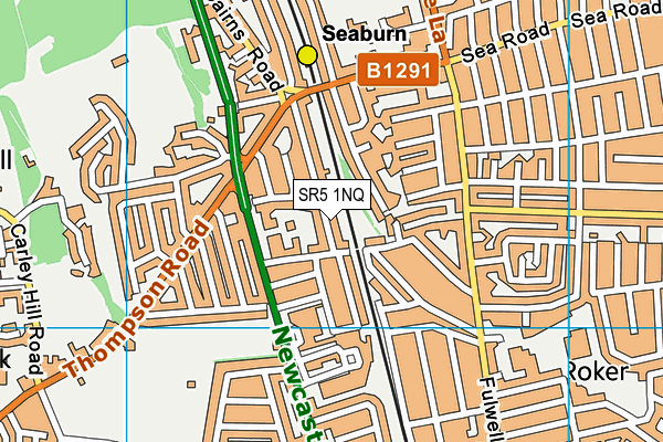 SR5 1NQ map - OS VectorMap District (Ordnance Survey)