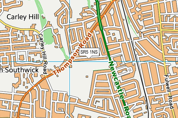 SR5 1NS map - OS VectorMap District (Ordnance Survey)