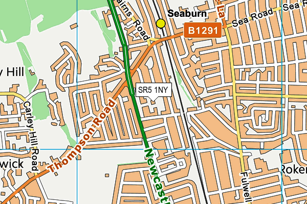 SR5 1NY map - OS VectorMap District (Ordnance Survey)