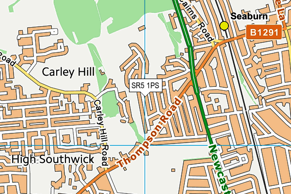 SR5 1PS map - OS VectorMap District (Ordnance Survey)