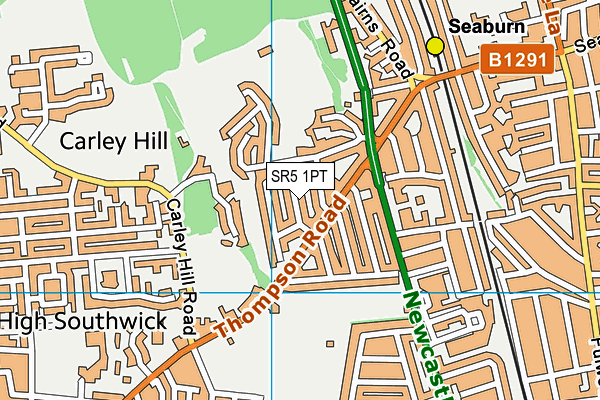 SR5 1PT map - OS VectorMap District (Ordnance Survey)