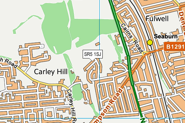 SR5 1SJ map - OS VectorMap District (Ordnance Survey)