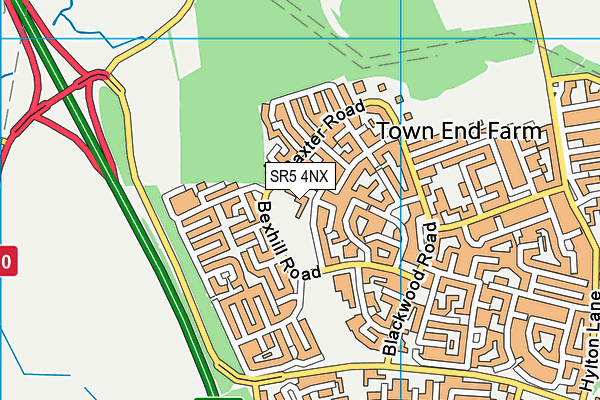 Town End Academy map (SR5 4NX) - OS VectorMap District (Ordnance Survey)