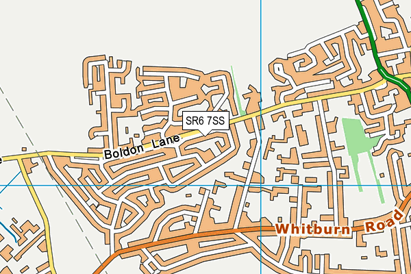 SR6 7SS map - OS VectorMap District (Ordnance Survey)