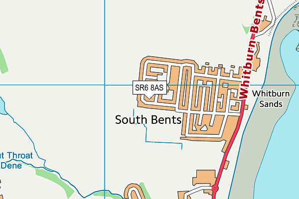 SR6 8AS map - OS VectorMap District (Ordnance Survey)