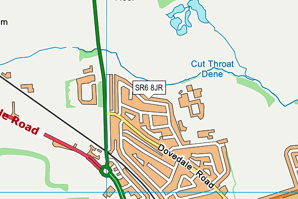 SR6 8JR map - OS VectorMap District (Ordnance Survey)
