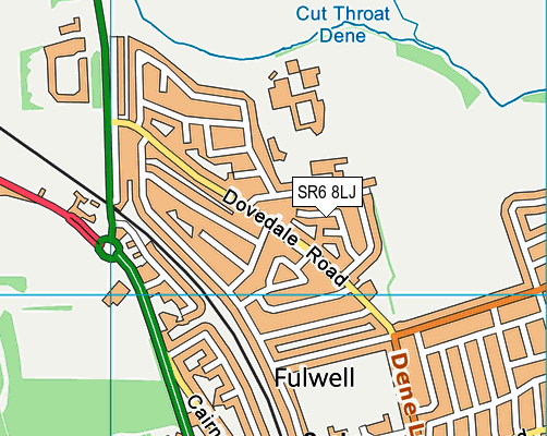 SR6 8LJ map - OS VectorMap District (Ordnance Survey)