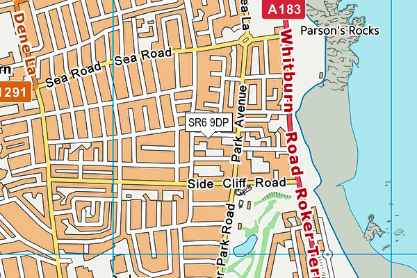 SR6 9DP map - OS VectorMap District (Ordnance Survey)
