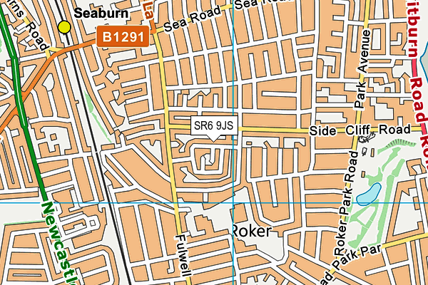 SR6 9JS map - OS VectorMap District (Ordnance Survey)