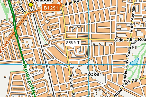 SR6 9JT map - OS VectorMap District (Ordnance Survey)