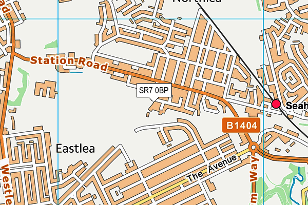 SR7 0BP map - OS VectorMap District (Ordnance Survey)
