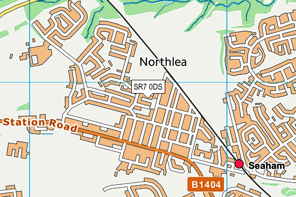 SR7 0DS map - OS VectorMap District (Ordnance Survey)
