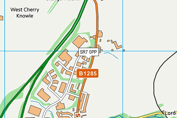 SR7 0PP map - OS VectorMap District (Ordnance Survey)
