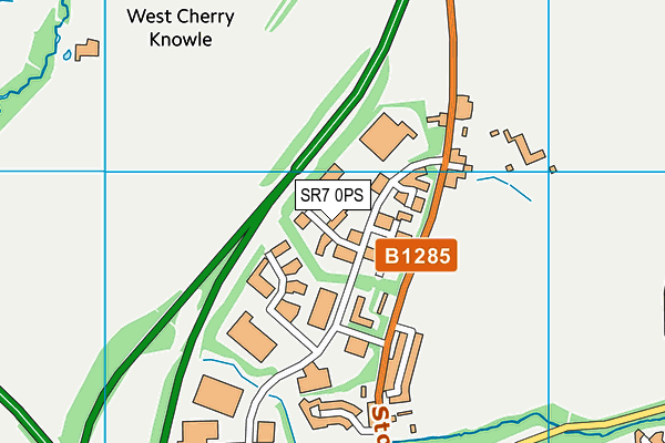 SR7 0PS map - OS VectorMap District (Ordnance Survey)