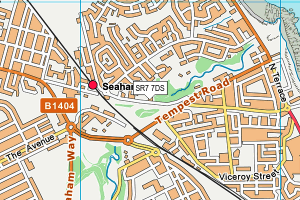 SR7 7DS map - OS VectorMap District (Ordnance Survey)