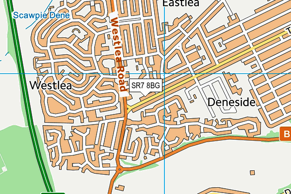 SR7 8BG map - OS VectorMap District (Ordnance Survey)