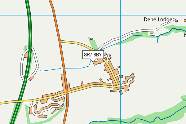 SR7 8BY map - OS VectorMap District (Ordnance Survey)