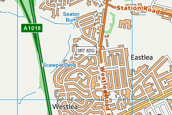 SR7 8DG map - OS VectorMap District (Ordnance Survey)